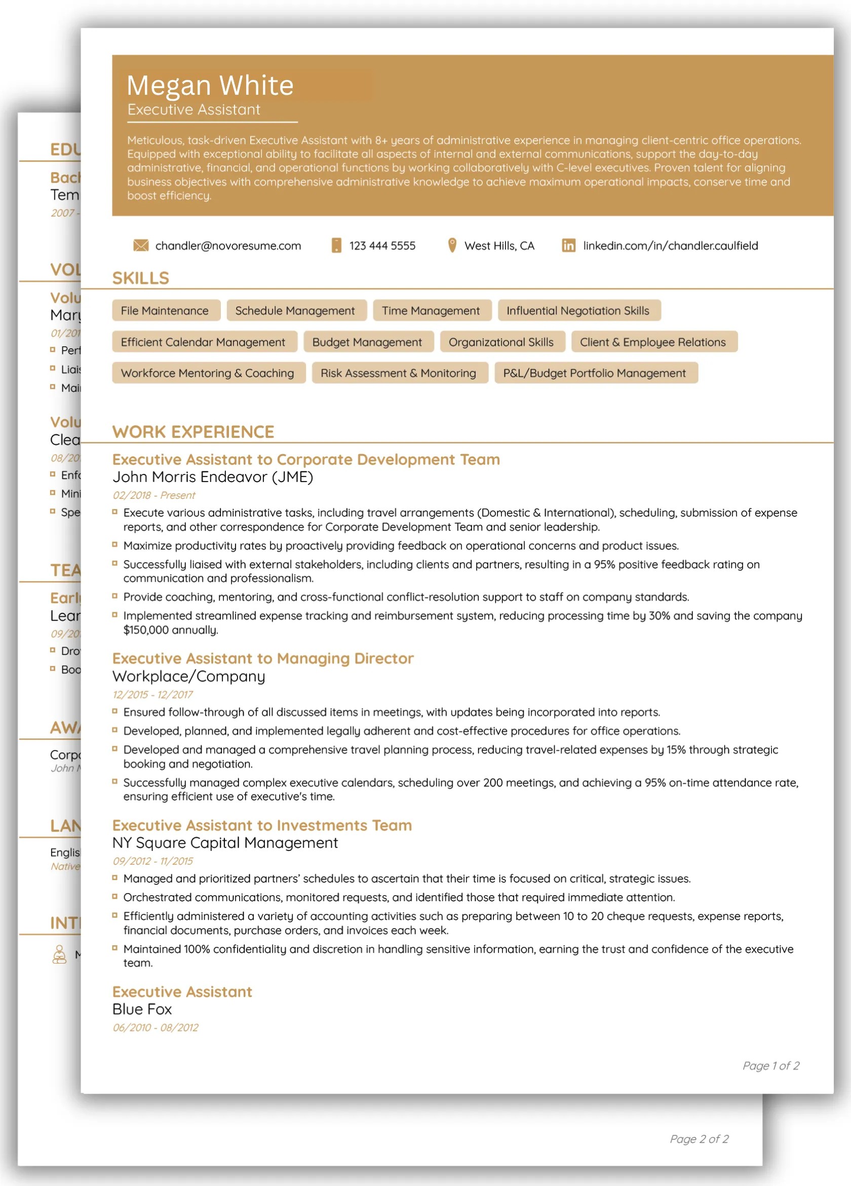 Tech CV Template